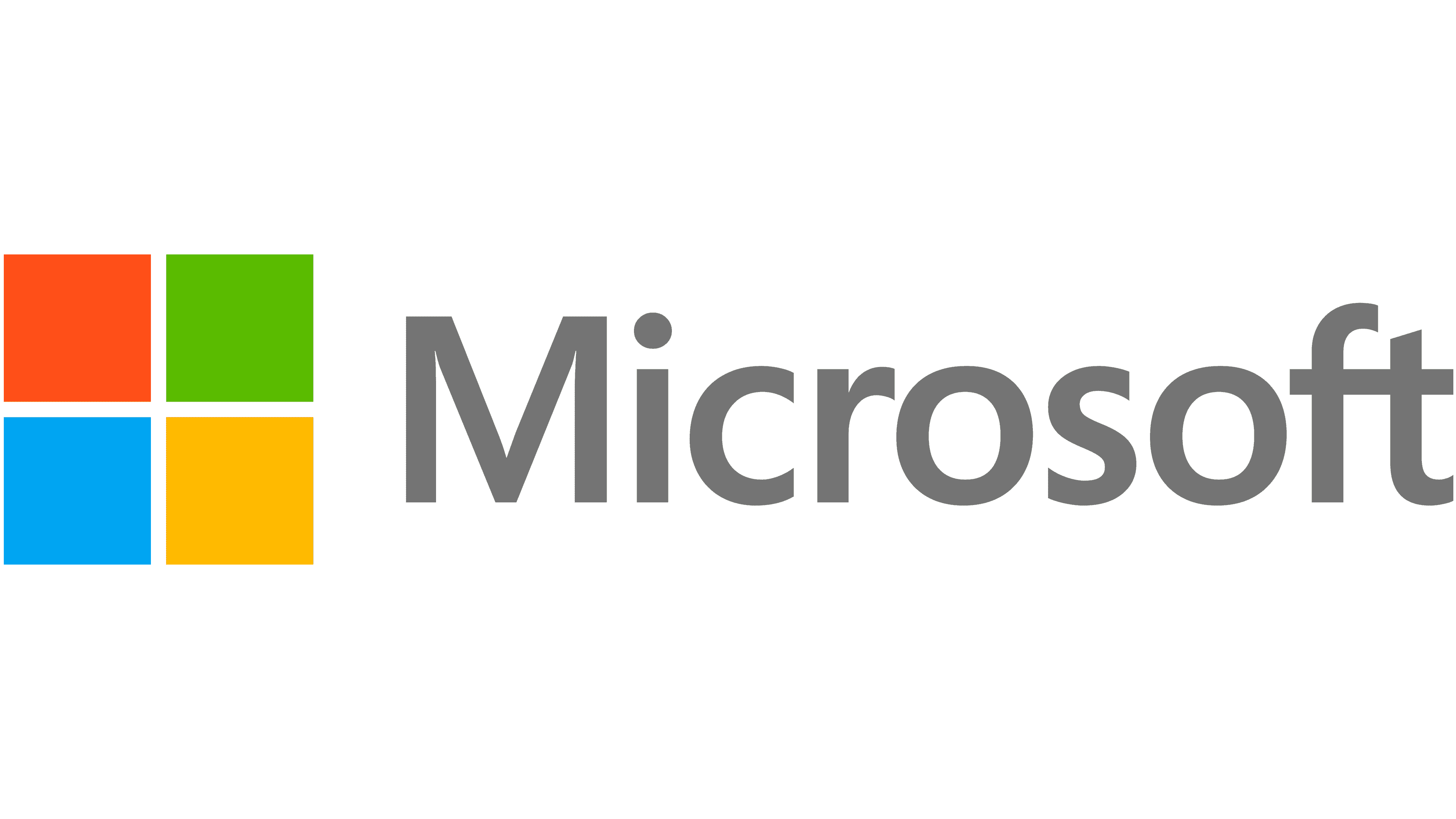 Microsoft partner